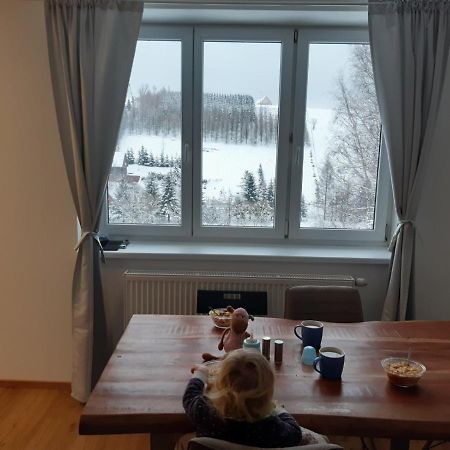 Apartman U Kunstatskeho Mlyna Lägenhet Orlicke Zahori Exteriör bild