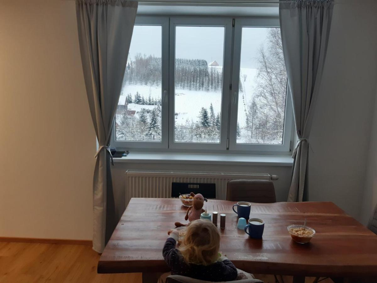 Apartman U Kunstatskeho Mlyna Lägenhet Orlicke Zahori Exteriör bild