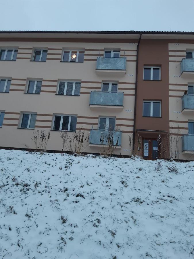 Apartman U Kunstatskeho Mlyna Lägenhet Orlicke Zahori Exteriör bild